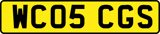 WC05CGS