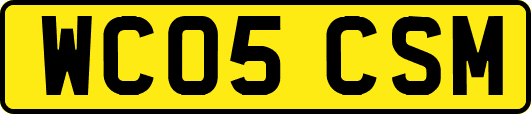 WC05CSM