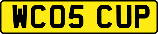 WC05CUP