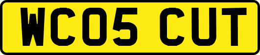 WC05CUT