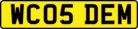 WC05DEM
