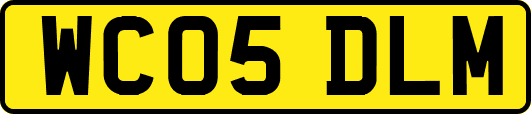 WC05DLM