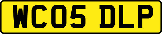 WC05DLP