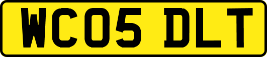 WC05DLT