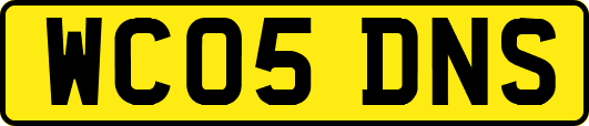 WC05DNS