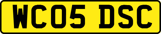 WC05DSC