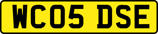 WC05DSE
