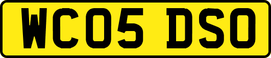 WC05DSO