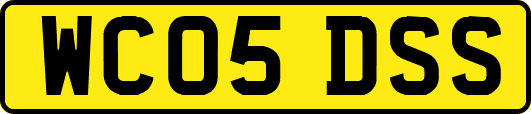 WC05DSS