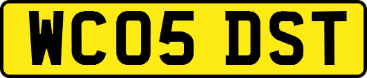 WC05DST