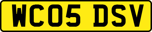 WC05DSV