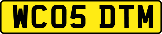 WC05DTM