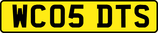 WC05DTS