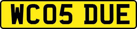 WC05DUE