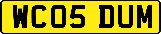 WC05DUM