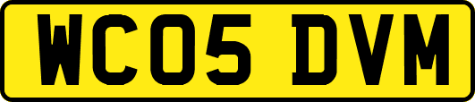 WC05DVM