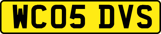 WC05DVS