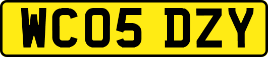 WC05DZY