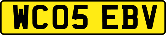 WC05EBV