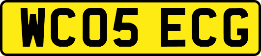 WC05ECG