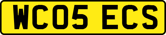 WC05ECS