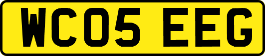 WC05EEG