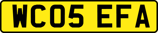 WC05EFA