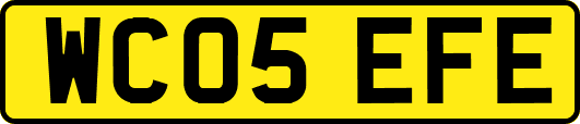 WC05EFE