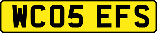 WC05EFS