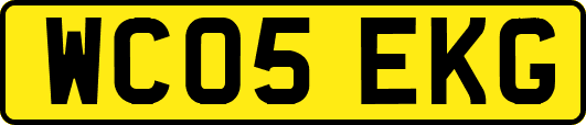 WC05EKG