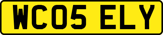 WC05ELY