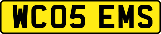 WC05EMS