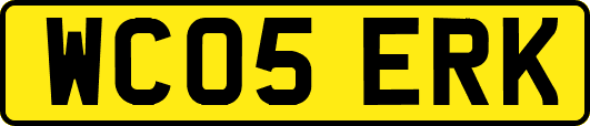 WC05ERK