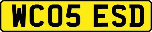 WC05ESD