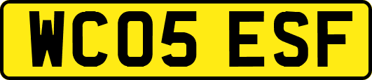 WC05ESF