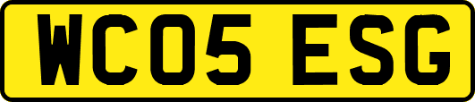 WC05ESG