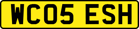 WC05ESH