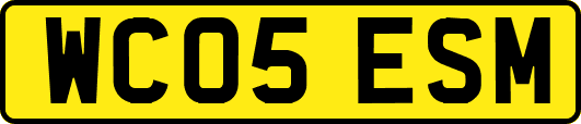 WC05ESM