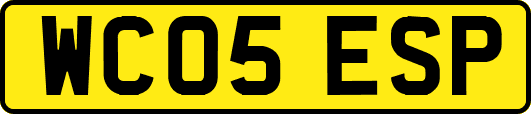 WC05ESP