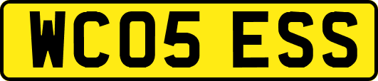 WC05ESS