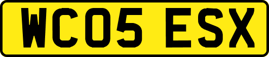 WC05ESX