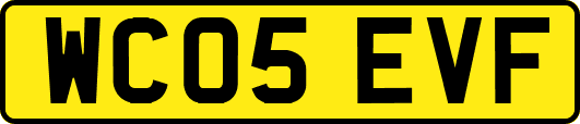 WC05EVF