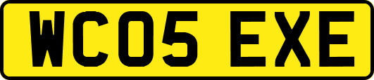 WC05EXE