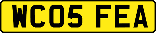 WC05FEA