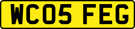 WC05FEG