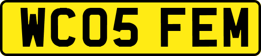 WC05FEM