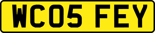WC05FEY