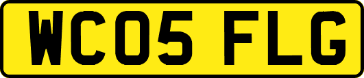 WC05FLG