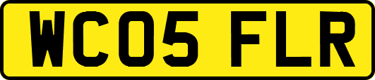 WC05FLR