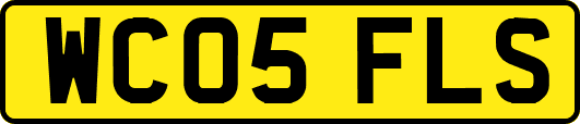WC05FLS